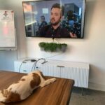 4DC57D55-15E5-4F00-9740-E43D1D9D51AD