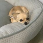 AA1C2907-DFC2-4F7D-AB42-002B48743D75