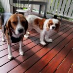 EB4EF6AA-5592-4877-AD8D-4C17F722143C