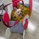 PXL_20211206_071444882_2