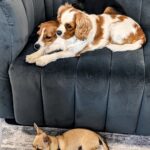 PXL_20220324_022126488_2