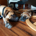 image_2022_03_28T23_44_35_053Z